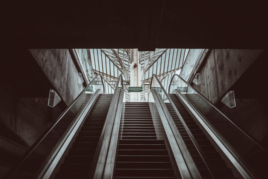 Looking upward from the bottom of a modern indoor escalator inside a building, showing black rubber steps with metal edges, clear glass side panels, and stainless steel handrails. Behind the escalator, there is a concrete wall and a visible green warning sign at the top platform. Above, a geometric metal and glass structure allows natural light to illuminate the scene. This setting is part of a residential or commercial property, possibly during a home relocation process coordinated by Man with Van Cann Hall, with the escalator serving as an access point for moving furniture and boxes between floors. The image captures the clean, professional environment involved in packing and moving logistics, emphasizing careful handling during a property transfer or furniture transport inside a property or building entrance.